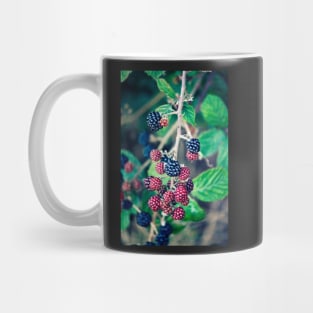 Ripening Blackberries Mug